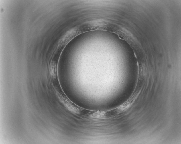 X0000059100138200510101228