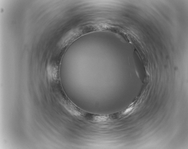 X0000059100139200510101228