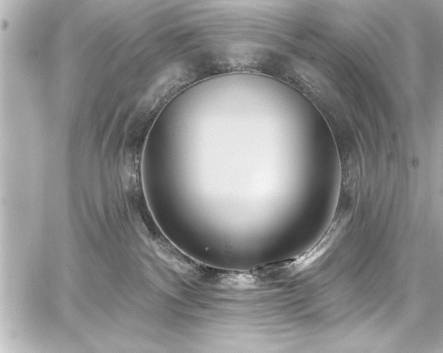 X0000059100140200510101228