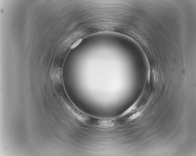 X0000059100141200510101228