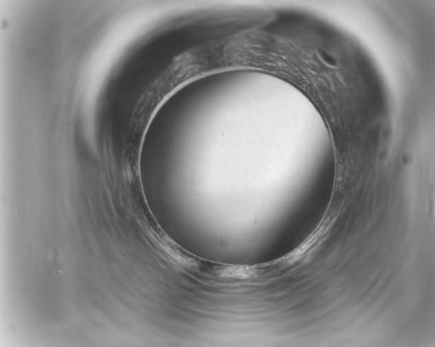 X0000059100142200510101228