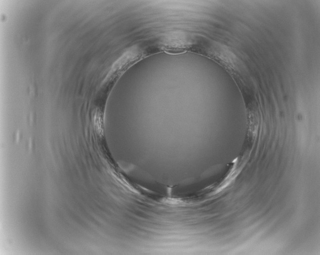 X0000059100143200510101228