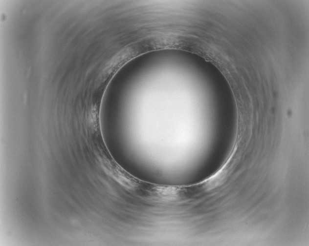 X0000059100144200510101228