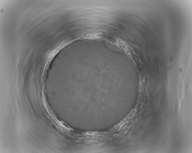 X0000059100145200510101227