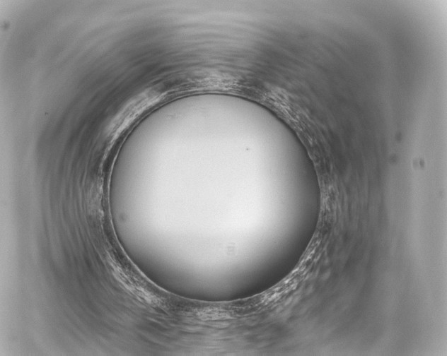 X0000059100146200510101227