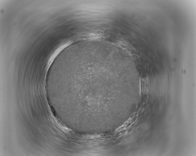 X0000059100147200510101227