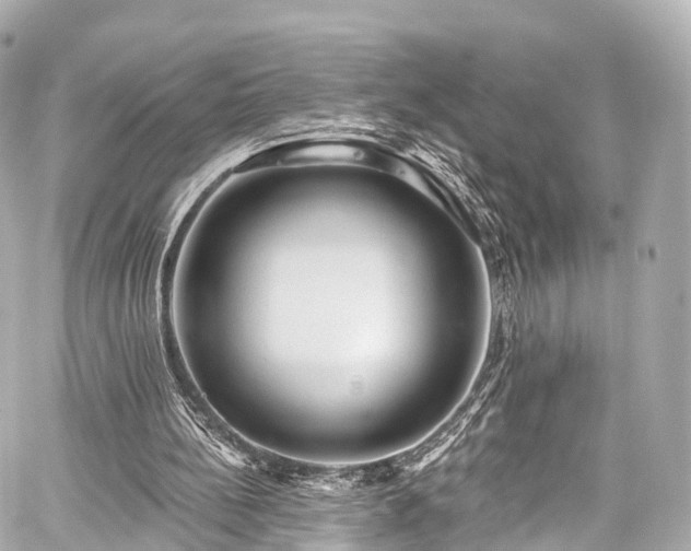 X0000059100148200510101227