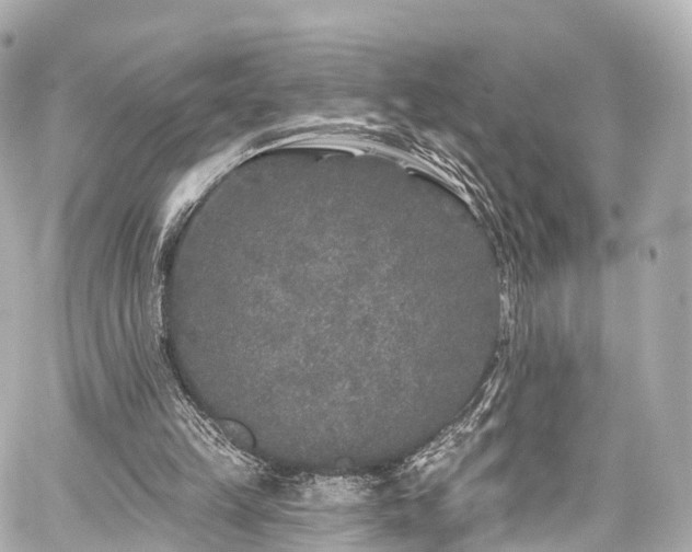 X0000059100149200510101227