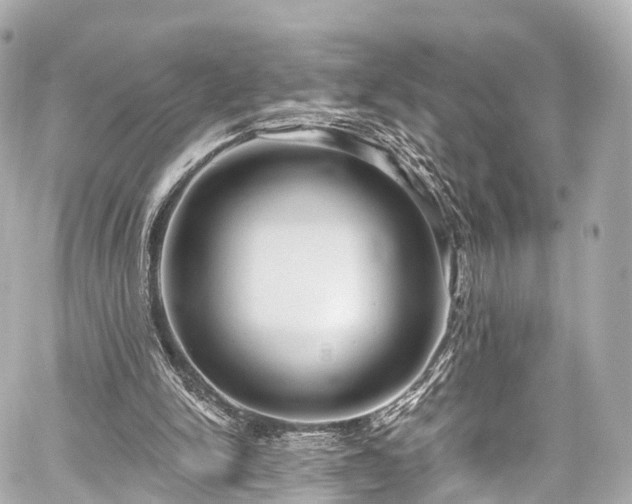 X0000059100150200510101227