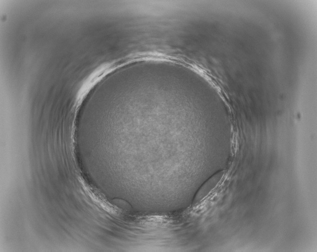 X0000059100151200510101227