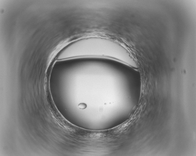 X0000059100152200510101227