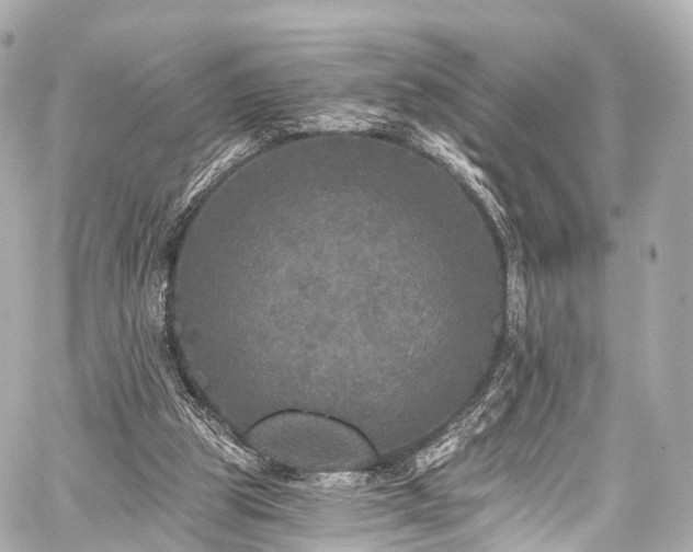 X0000059100153200510101227