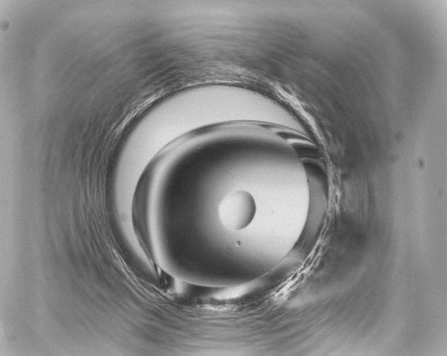 X0000059100154200510101227