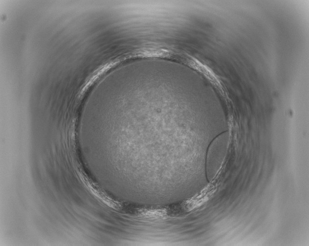 X0000059100155200510101227