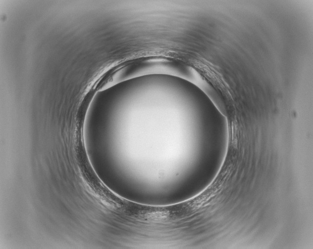 X0000059100156200510101227