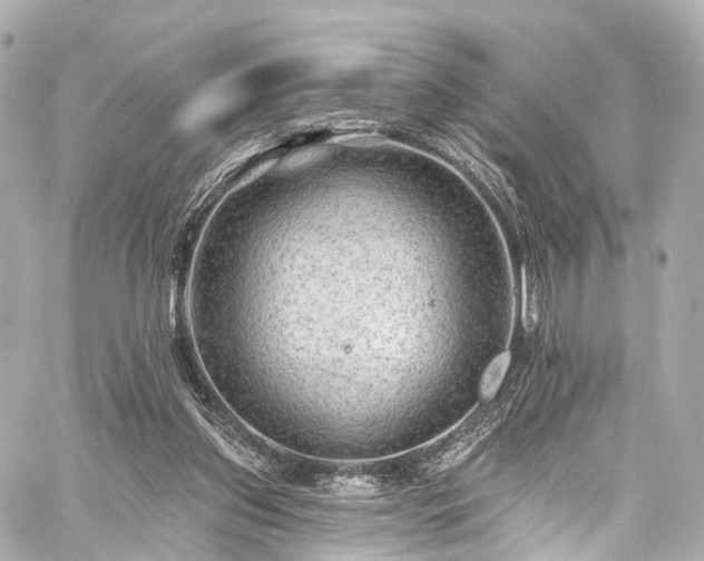 X0000059100157200510101227