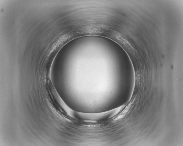 X0000059100158200510101227