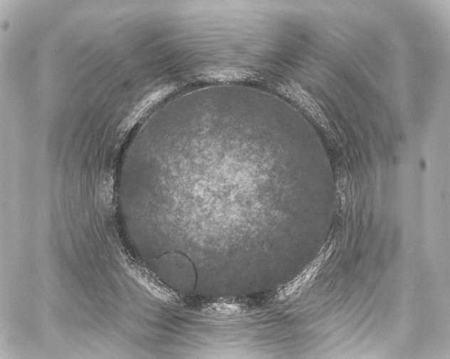 X0000059100159200510101227