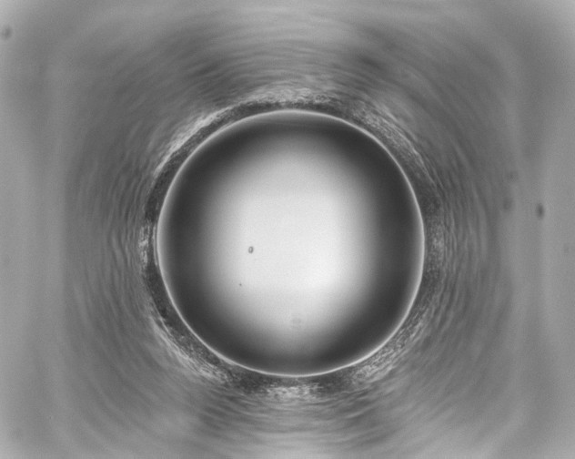 X0000059100160200510101227