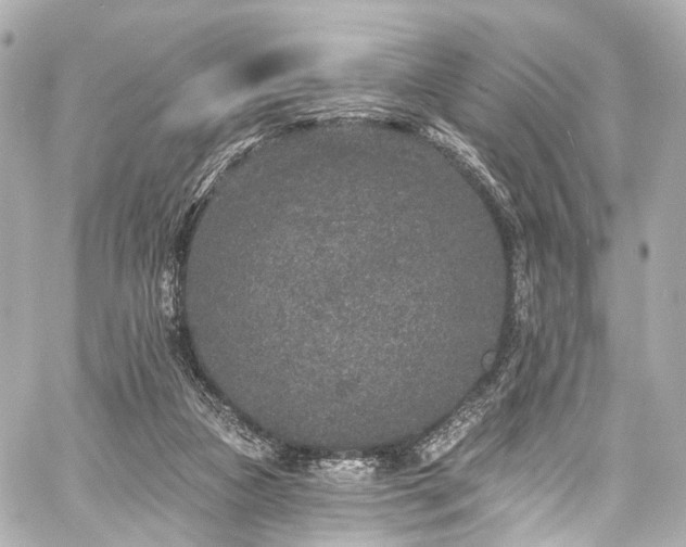 X0000059100161200510101227