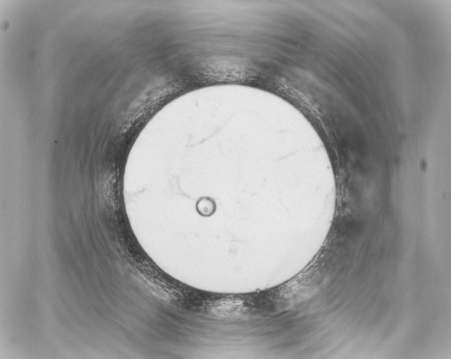 X0000059100162200510101227