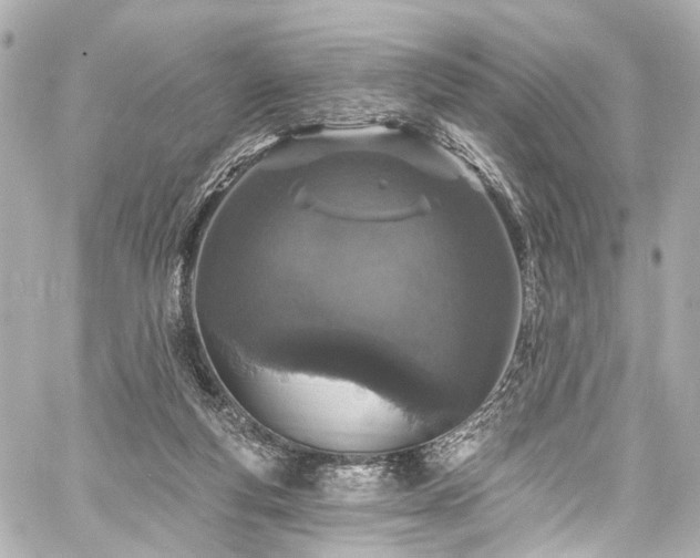 X0000059100163200510101227