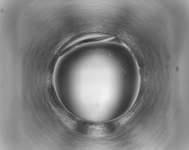 X0000059100164200510101227