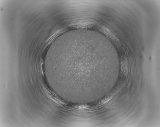 X0000059100165200510101227