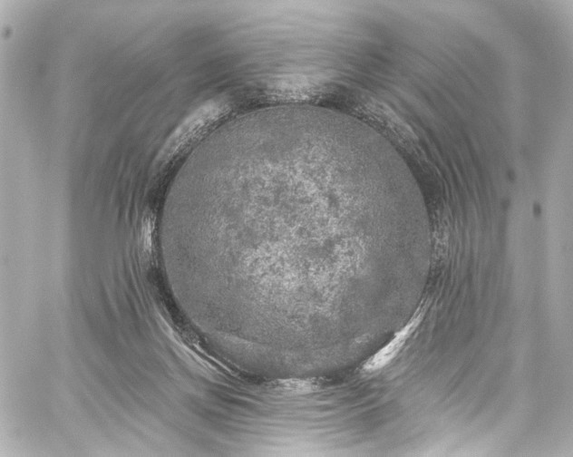 X0000059100166200510101227