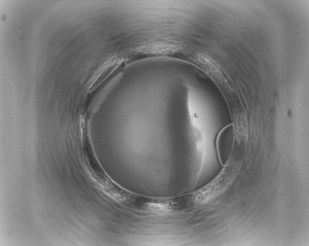 X0000059100167200510101227