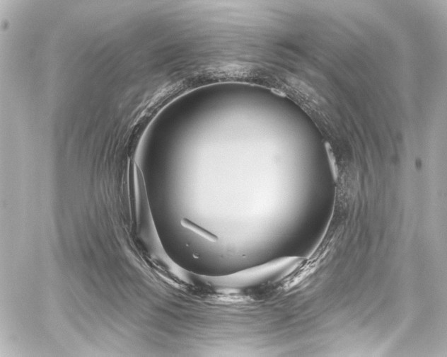 X0000059100168200510101227