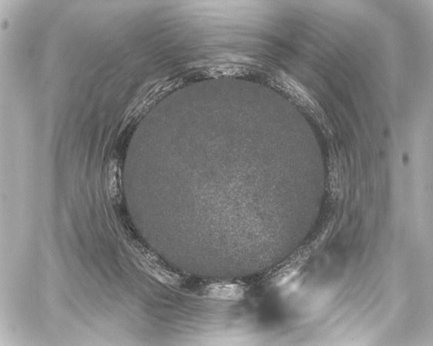 X0000059100169200510101227