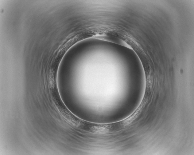 X0000059100170200510101227