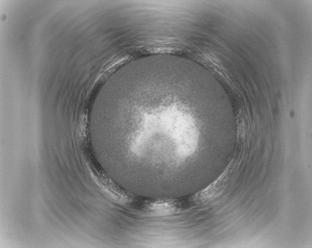 X0000059100171200510101228