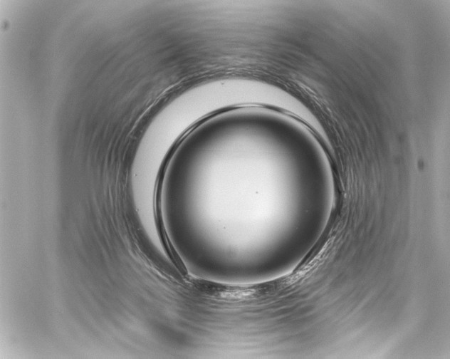 X0000059100172200510101228