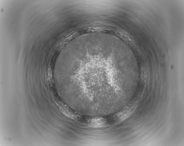 X0000059100173200510101228