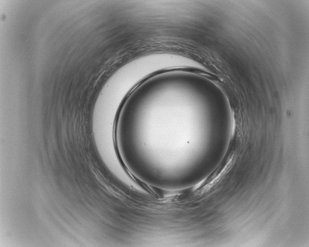 X0000059100175200510101228