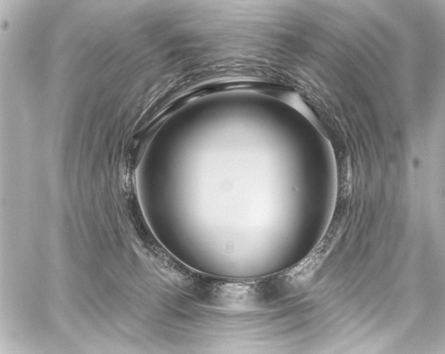 X0000059100176200510101228