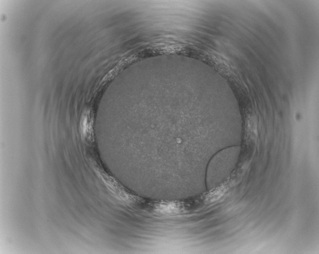 X0000059100177200510101228