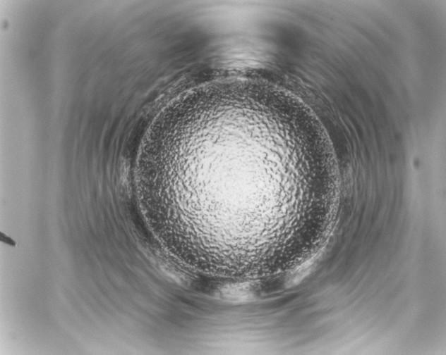 X0000059100178200510101228