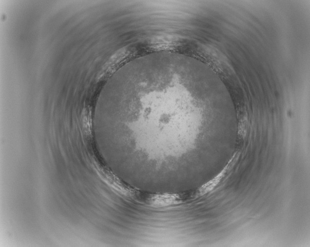 X0000059100179200510101228