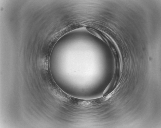 X0000059100180200510101228