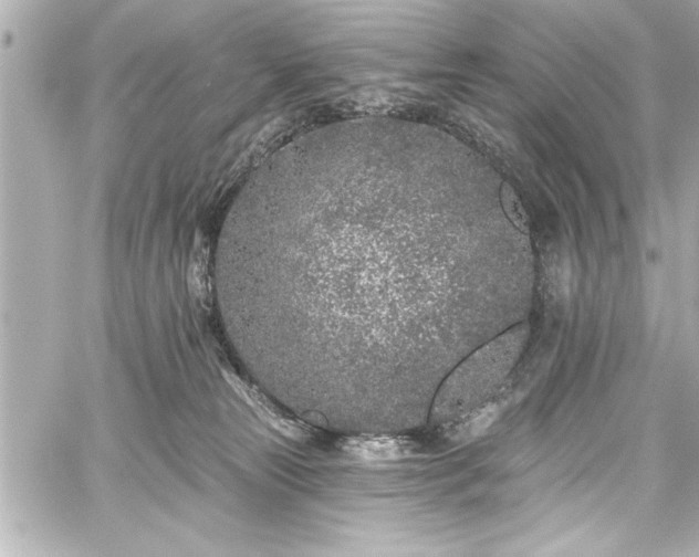 X0000059100181200510101228