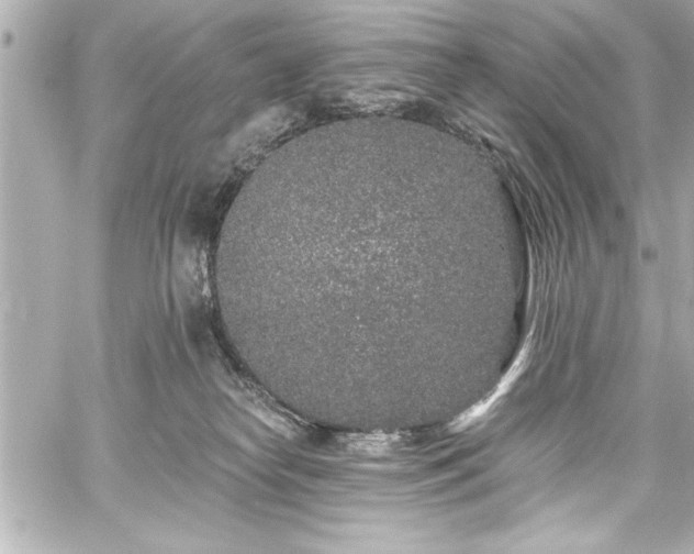 X0000059100182200510101228