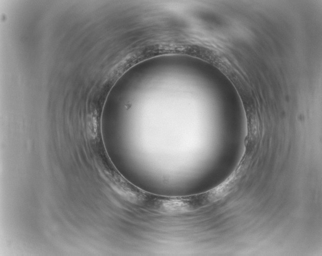 X0000059100183200510101228