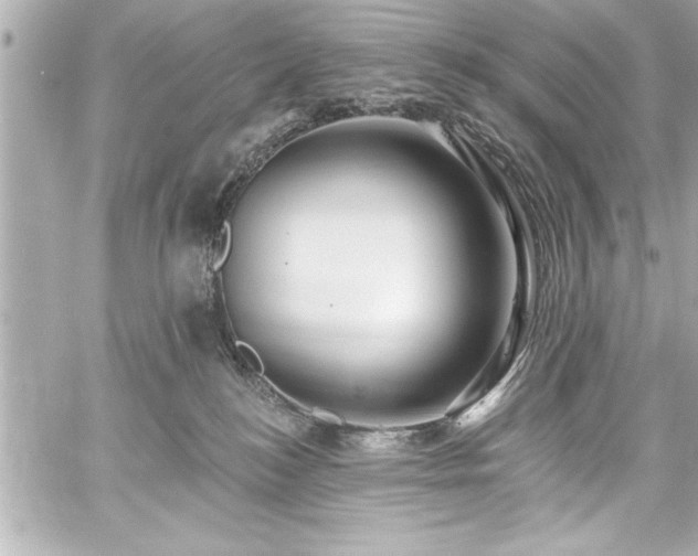 X0000059100184200510101228