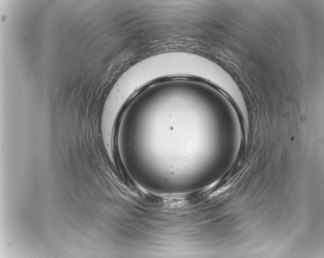 X0000059100185200510101228