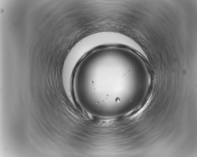 X0000059100186200510101228