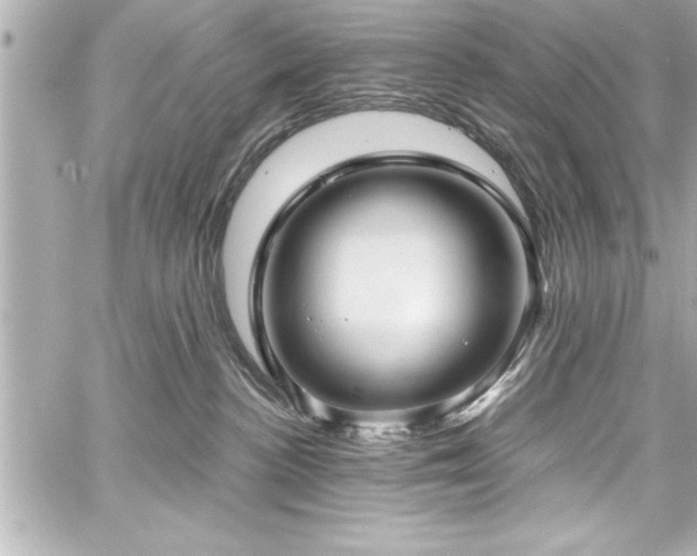 X0000059100188200510101228