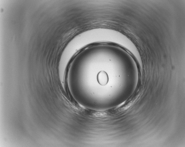 X0000059100189200510101228